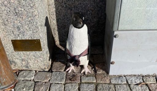 Pingvin av Linnea Jörpeland