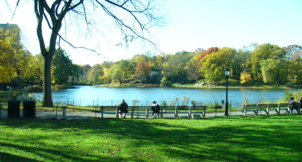 Central Park i New York