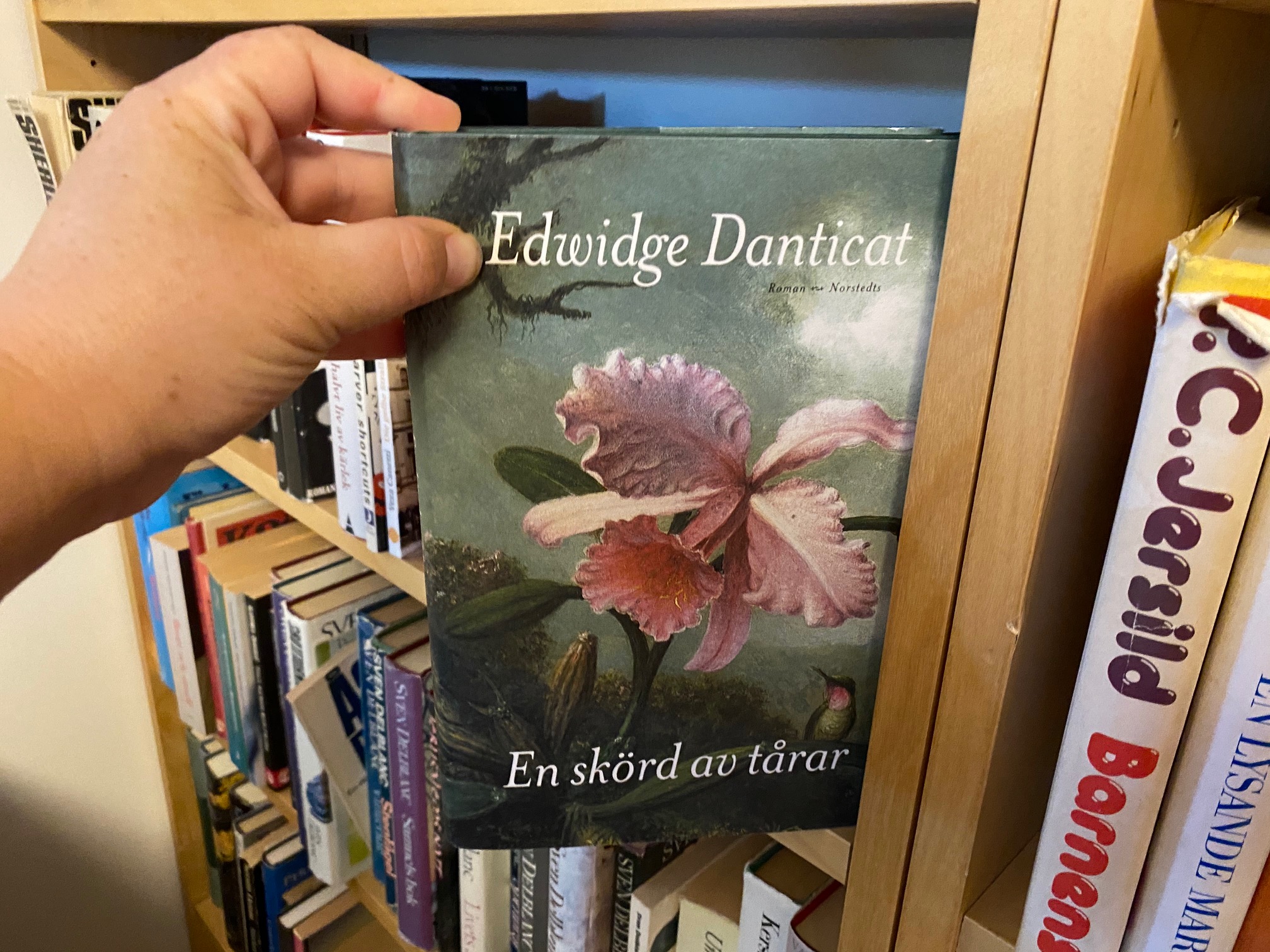 Edwidge Danticat i min bokhylla