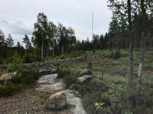 Skärvhult i Småland