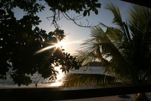 Sol, strand och palmer på Langkawi