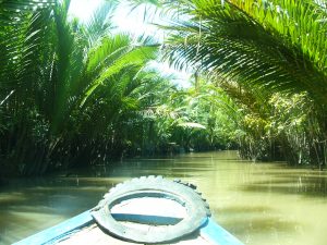Mangroveträsk i Mekongfloden i Vietnam